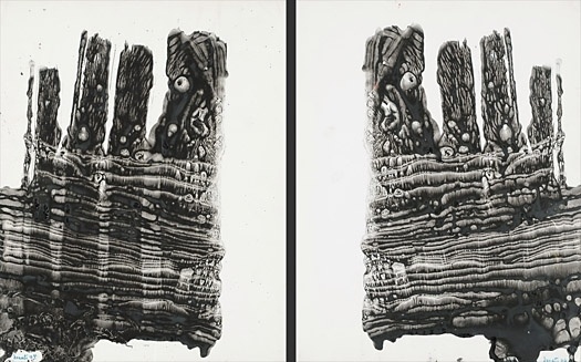 Enrico Donati: A Centennial Retrospective #decalcomania #donati #painting
