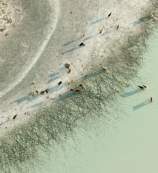 Aerial Photography by Zack Seckler