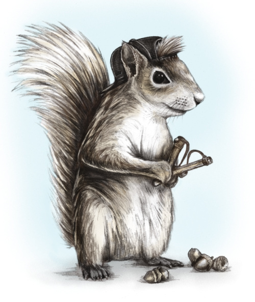 kevin bonner. #pencil #illustration #animals #trouble #punk #mischief #vintage #art #squirrel via kevinbonnerdesign.com