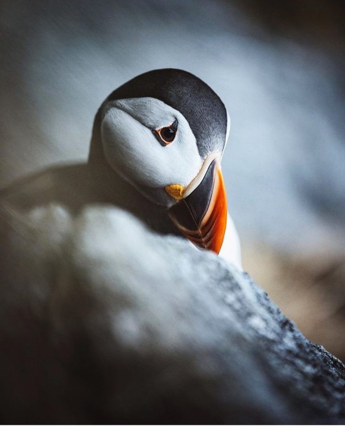 Wonderful Outdoor and Landscape Photography by Lina Kayser
