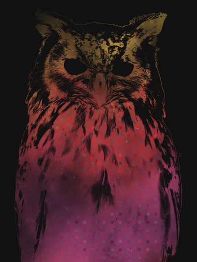 Hedwig #design #graphic #illustration #nature #animals