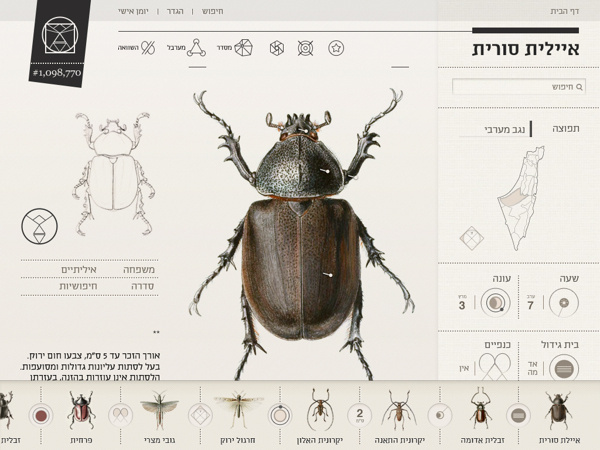 Insect Definer, Yael Cohen #insect #design #web #cohen
