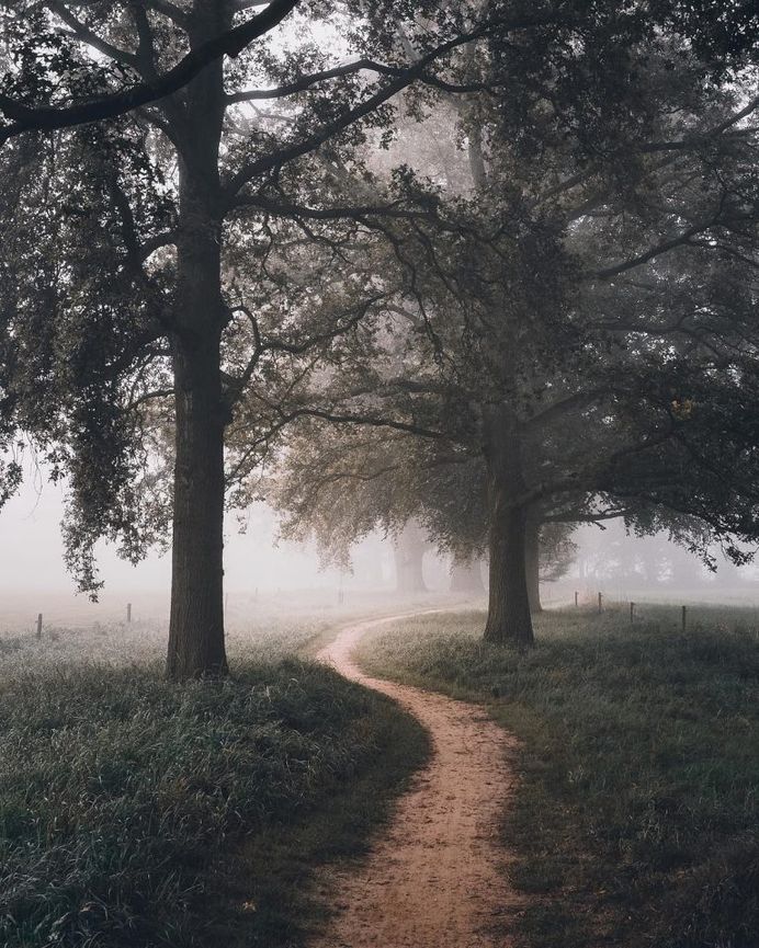 Ronald Jansen Captures the Beauty of Netherlands Through Stunning Landscapes
