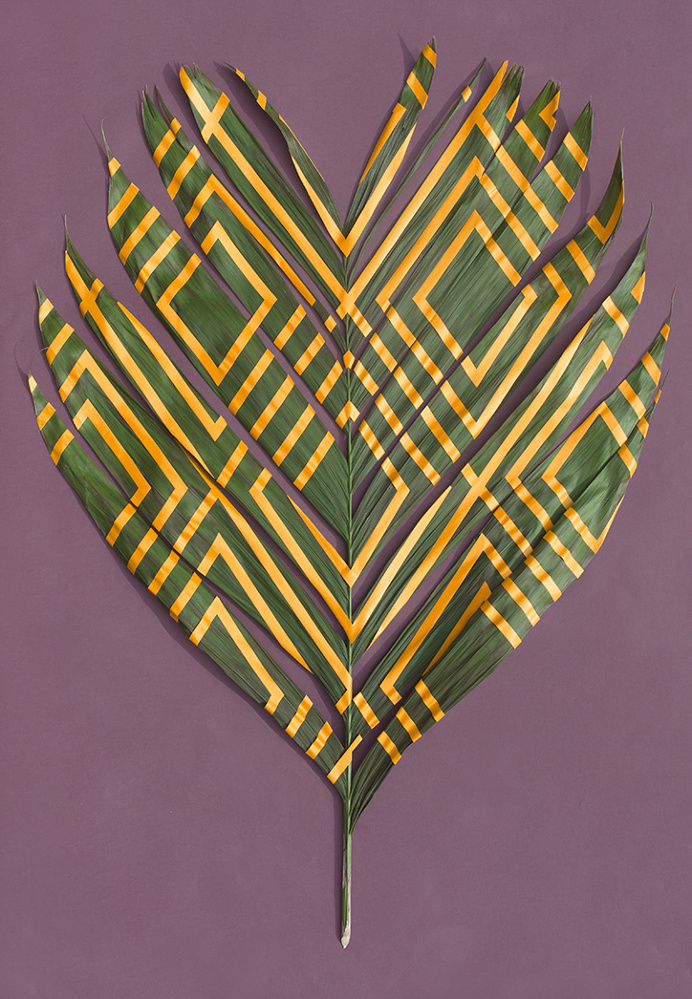 photography, design, plants, leaves, paint, patterns