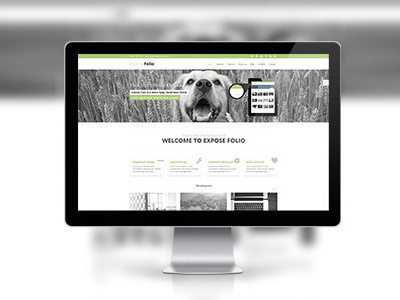 Ex #web #carousel #header
