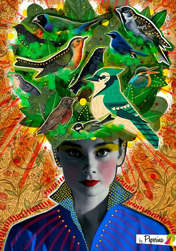 TenÃ©s la cabeza llena de pajaritos. | Peperina Magenta #creative #arte #amor #woman #naturaleza #color #pinup #pã¡jaros #digital #birds #ilustraciã³n #natural #vintage #ilustration #art #collage #colour #love #work