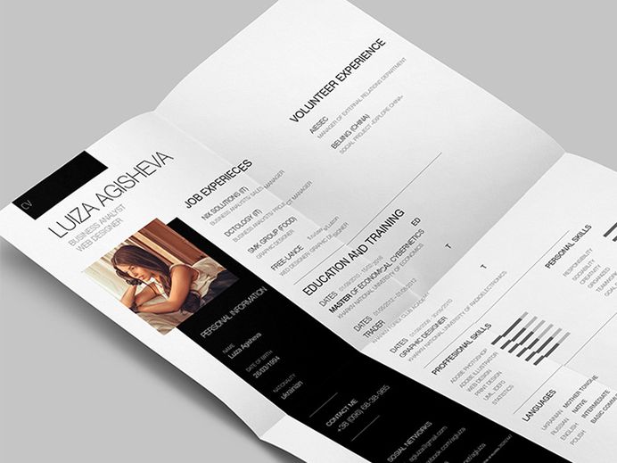 Luiza Resume - Free PSD CV/Resume Template for Job Hunter