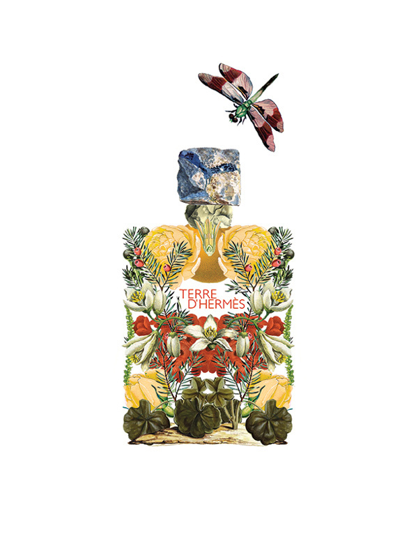 Floral Alchemy by Sixto Juan Zavala #dragon #branding #bottle #design #floral #alchemy #product #fly #flowers