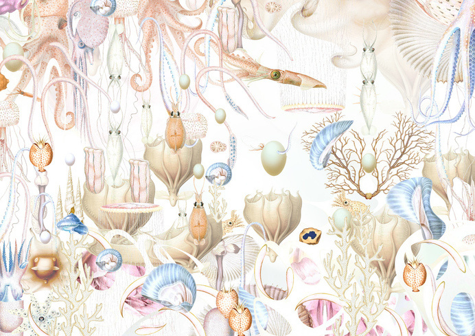 underwater, illustration, Bozka Illustrations