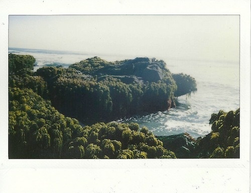 Likes | Tumblr #waves #sea #trees #coast