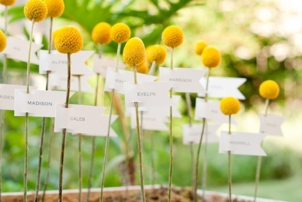 Makea - Wedding Photography and Inspirations #sign #name