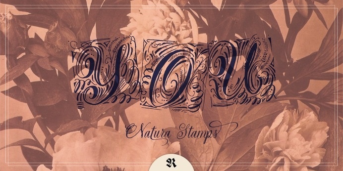 Natura - Webfont & Desktop font « MyFonts #calligraphy #script #writing #nature #handwritten #type