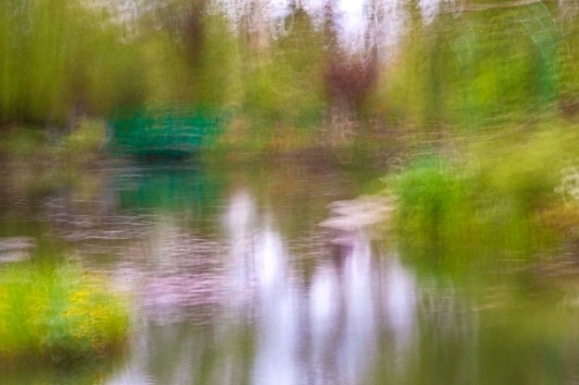 The garden of Monet #photography