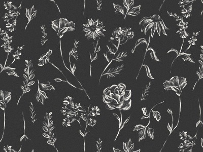 floral Softies nature leaf floral illustration black pattern botanical flowers hand drawn procreate