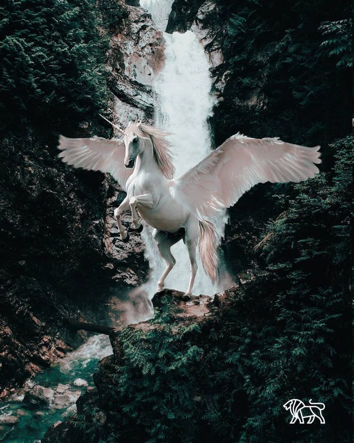 Creative and Dreamlike Photo Manipulations by Gabriel Henrique