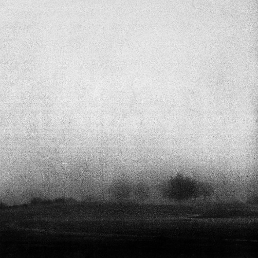 Something Called Nostalgia, photography by Thymournia #tree