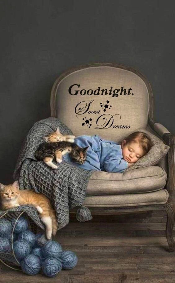 Goodnight. Sweet Dreams 
Bodhi Emerson