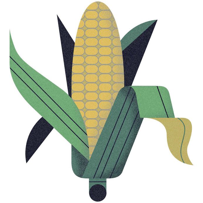 Icon created for Pyxera Global #icon #illustration #sweetcorn #vegetable #plant #food #corn #grow