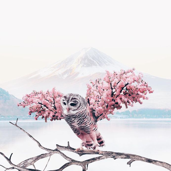 Surreal and Dreamlike Photography Manipulations by Luisa Azevedo
