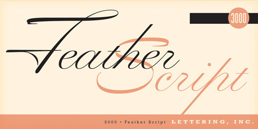 typelove_featherscript_01 #typo #typography