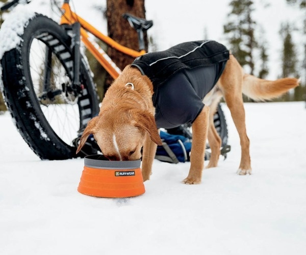 Bivy Bota Collapsible Dog Bowl #pet #gadget