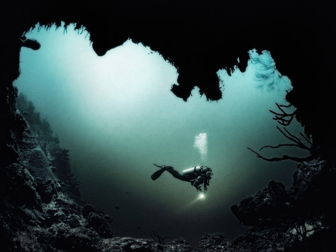 Underwater Photography by Julian Calverley #inspiration #photography #underwater