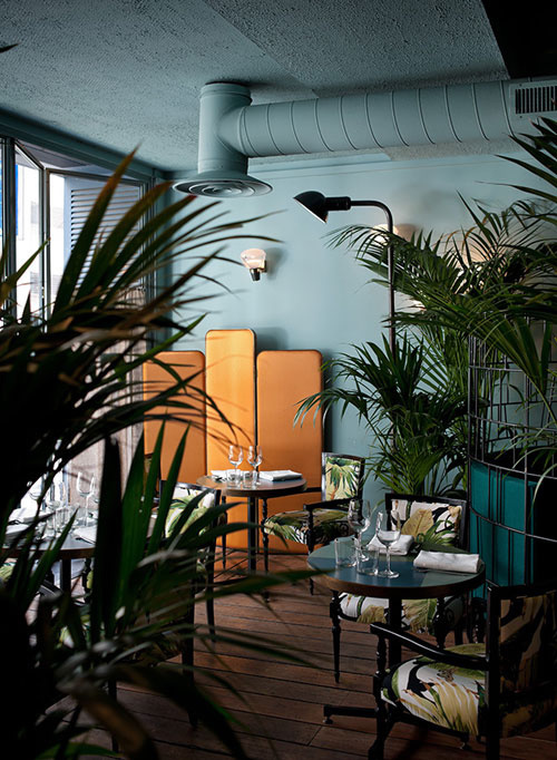 the palette and the palms