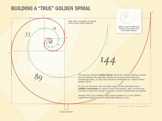 Building a "true" golden spiral #geometry #mathematics #golden #section #beauty