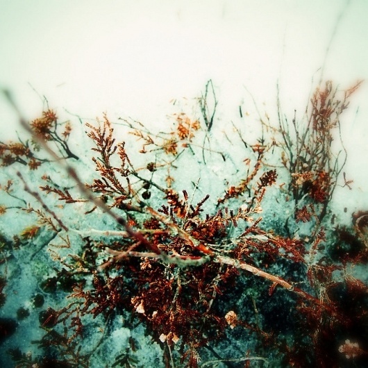 Daniel Johansson #daniel #photography #johansson