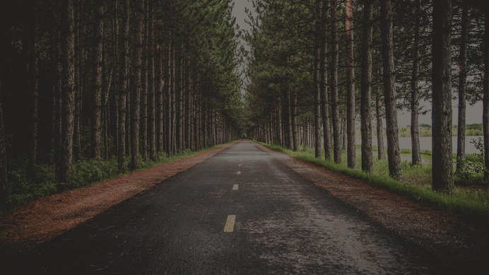 notgeneric_bg1.jpg (1920×1080)