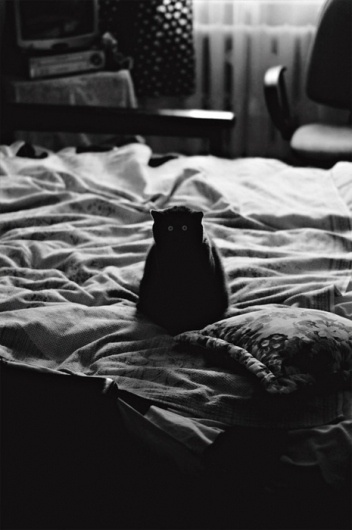 I'm not wordy #blackwhite