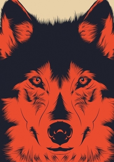 Wolf on the Behance Network #illustration #vector #wolf