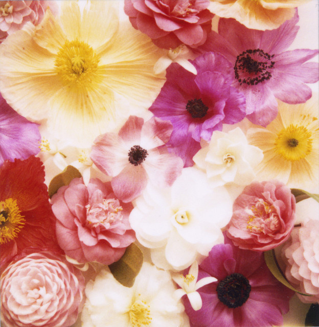mixedflowerscu #flowers