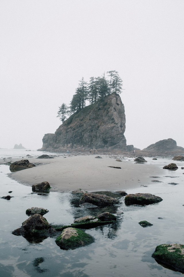 SamElkins12 #nature