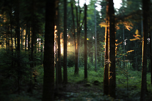 NOW AND THEN #line #light