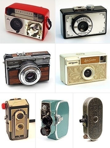 Piccsy :: photo! #picture #my #take