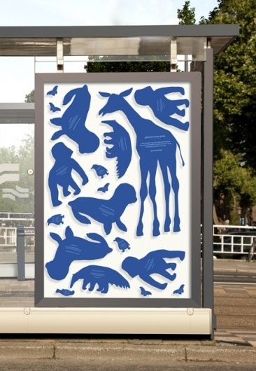 graphic design : . #dawn #amterdam #campaign #design #zoo #royal #viral #poster #artis