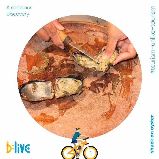 Fisherwomen from Cavellosim have mastered the art of removing meat from the oyster to sell. Learn about these traditional oyster farming methods followed by locals. Ever fancied trying your hand at shucking an oyster? If yes, it's best to reserve your cycle-seat. Call or WhatsApp at 📞+91 86696 00373 or visit us at blive.co.in #letsblive #funoverfuel #worldtourismday #tourismunliketourism #goabeyondbeaches #travel #instatravel #instagoa #wanderlust #fun #ev #ecotourism #eco #tours #saturday #saturdayspecial #WeekendVibes #ebikes #discovery #goavibes 🌴 #goatourism #goaindiatravel