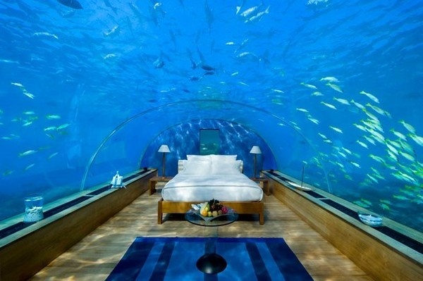 Artistic restaurant – inspiring view from underwater restaurant Ithaa #artistic #view #underwater #restaurant