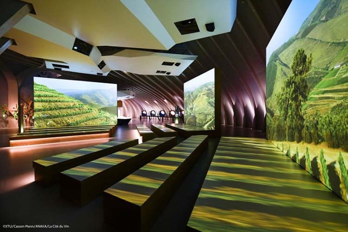 Wine Theme Park in France