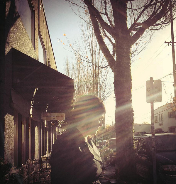 sun #sun #portland #tree