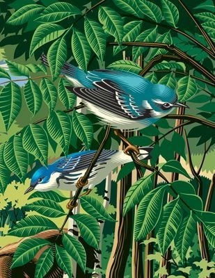 Biodiversity 2