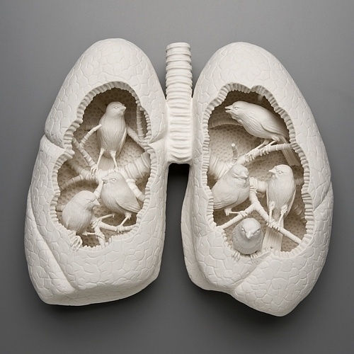 Birds in the lungs Art Sculpture