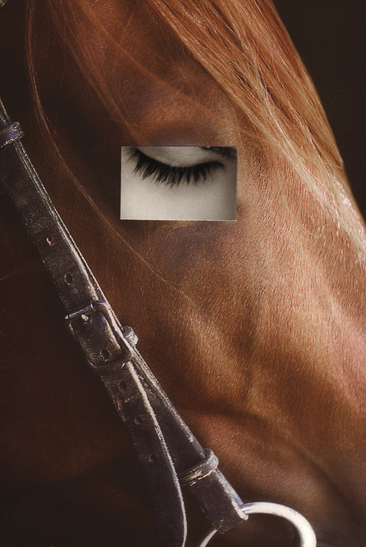NO TITLE 7 #horse #eye #photography #handmade #surreal #collage