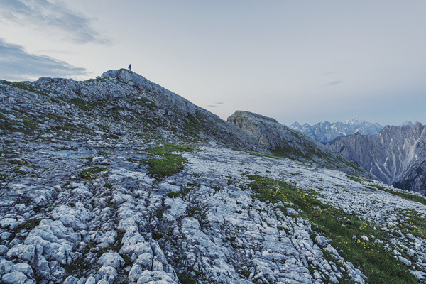 alp impressions VI #nature #mountains