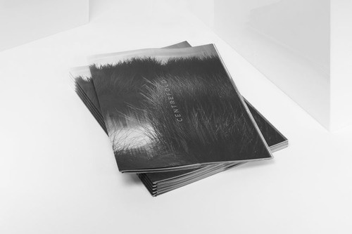 Graphic foxi #cover #book