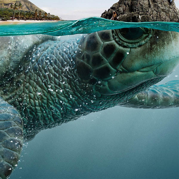 Stunning Photo Manipulations by Leo Rocha