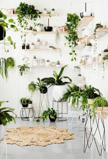 Newest Indoor Plants Decor Ideas For Your Apartment 14