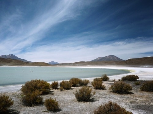 360 jours #bolivia #photo #laguna #uyuni #salar #desert