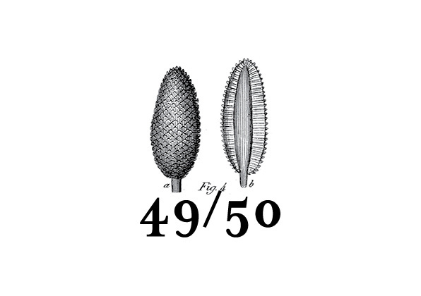 49/50 on Behance https://www.facebook.com/fig.4950 #4950 #artists books #notebooks #paper goods #etc